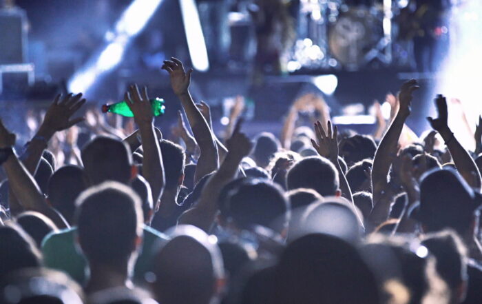 people in a concert