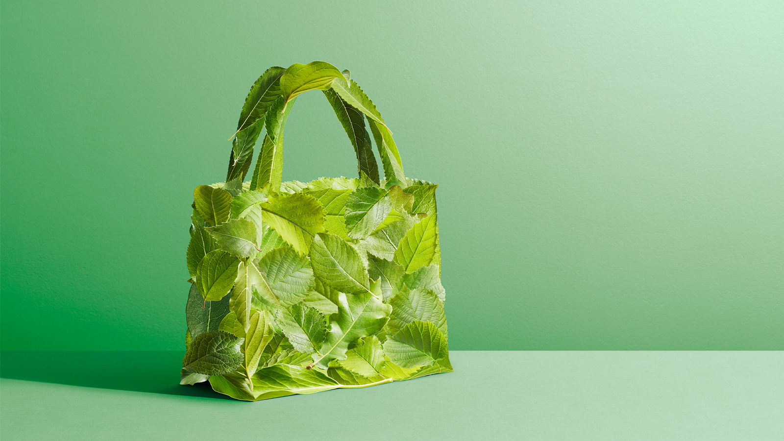Green shopping bag made of leaves